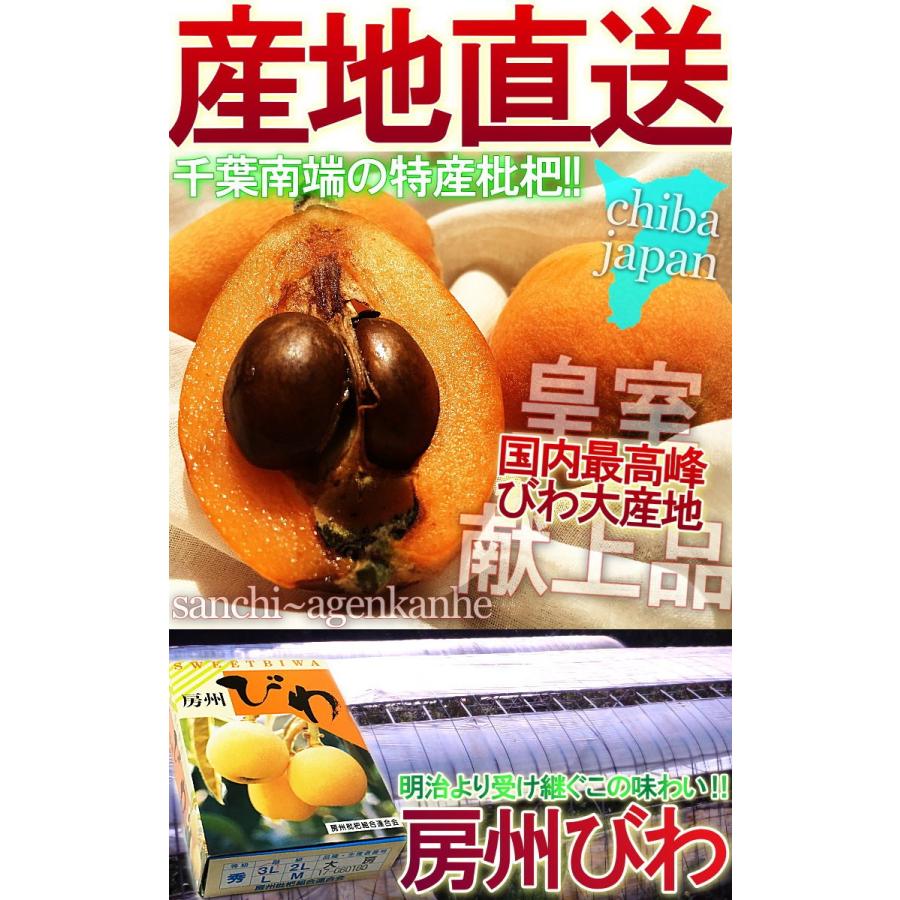 産地直送 房州びわ 千葉県産 2Lサイズ 12〜15玉入り 秀品 化粧箱入り 