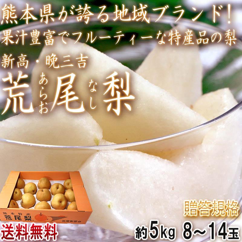 荒尾梨 あらおなし 新高・晩三吉 約5kg 8〜14玉 熊本県・荒尾産限定