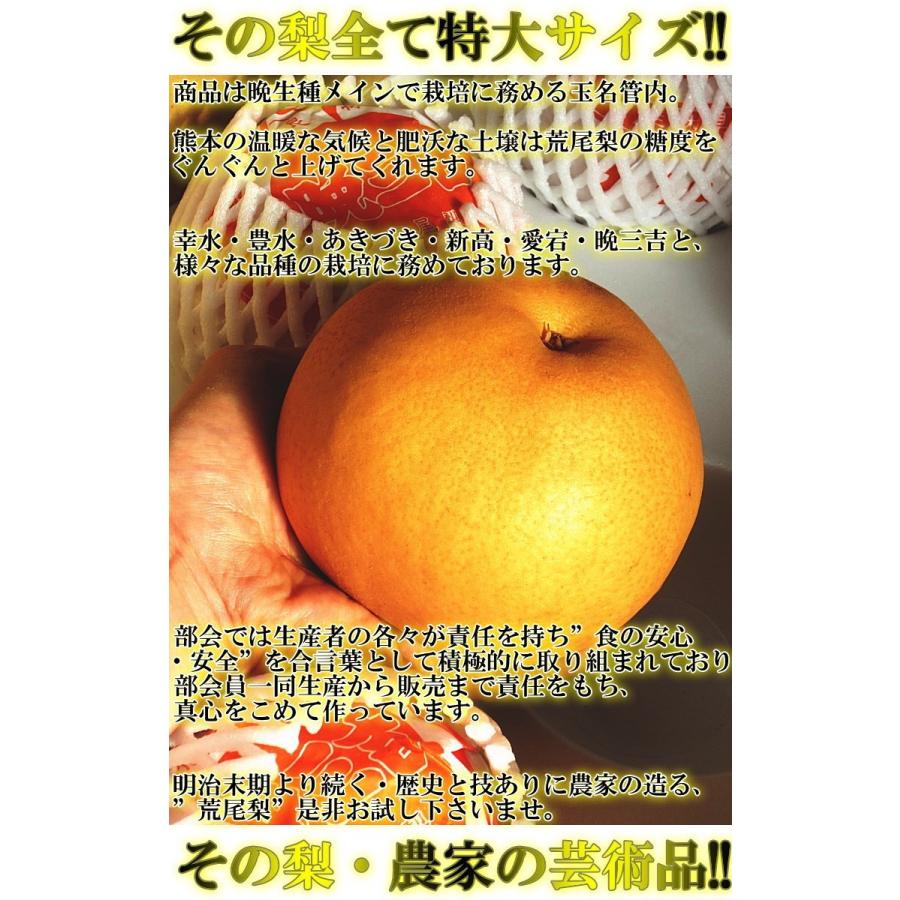 荒尾梨 あらおなし 新高・晩三吉 約5kg 8〜14玉 熊本県・荒尾産限定