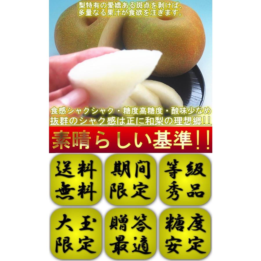 荒尾梨 あらおなし 新高・晩三吉 約5kg 8〜14玉 熊本県・荒尾産限定