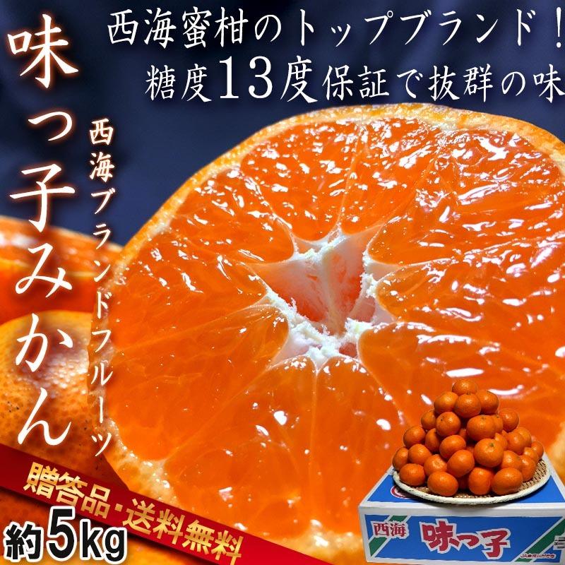 味っ子 西海みかん 約5kg 長崎県産 贈答規格 JAながさき西海 光