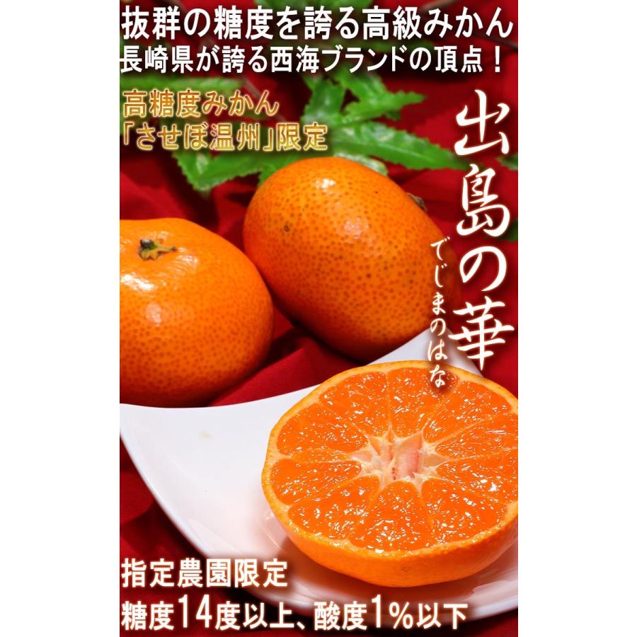 出島の華 プレミアム西海みかん 約5kg 2S〜Lサイズ 長崎県産 贈答規格