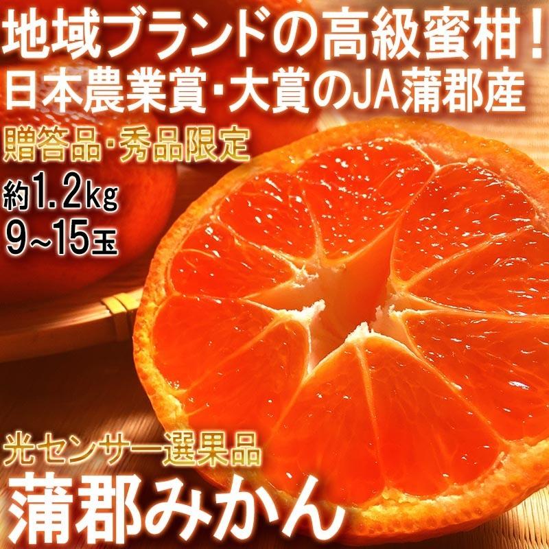 蒲郡みかん 温室栽培 約1.2kg 9〜15玉 愛知県産 贈答規格 日本農業賞で最優秀賞の蜜柑産地!地域ブランドの温州ミカン
