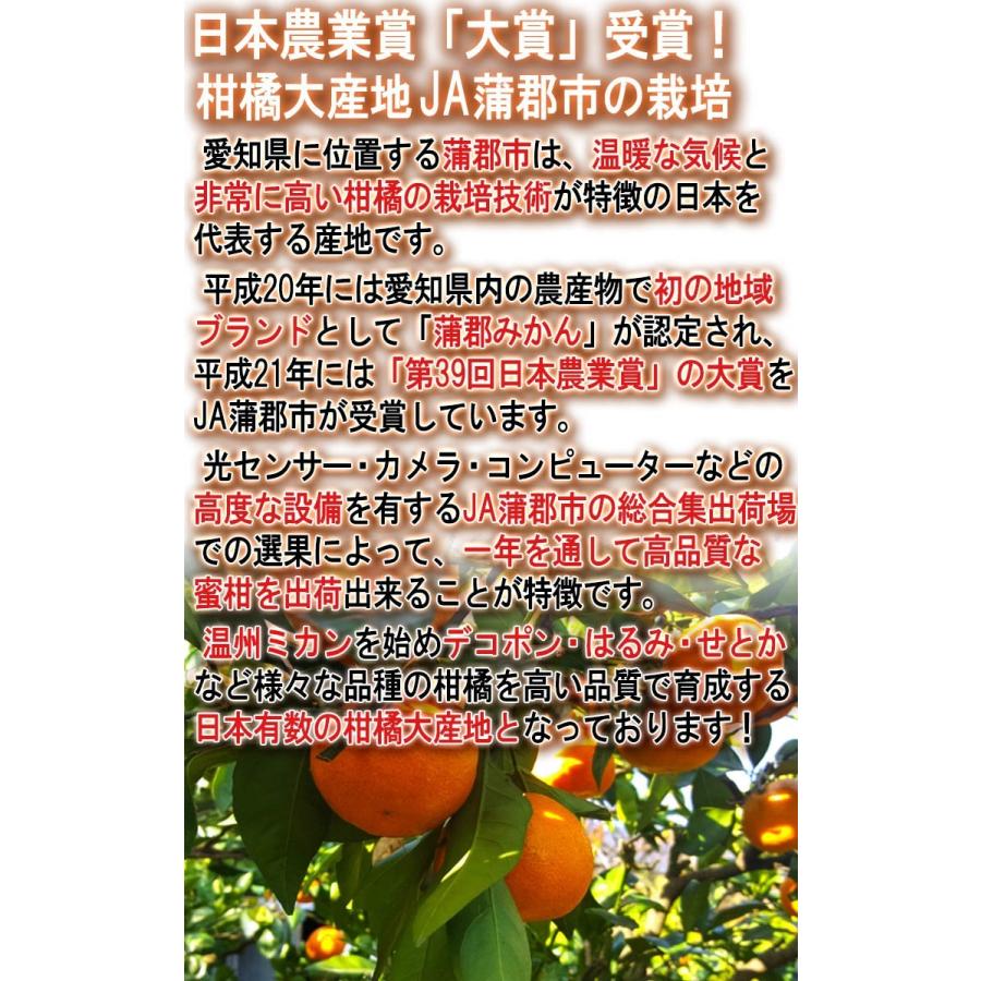 蒲郡みかん 約1.2kg 9〜15玉 愛知県産 贈答規格 化粧箱入り 日本 蒲郡みかん 約1.2kg 9〜15玉 愛知県産 贈答規格 化粧箱入り 日本