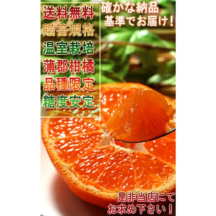 蒲郡みかん 約1.2kg 9〜15玉 愛知県産 贈答規格 化粧箱入り 日本農業賞