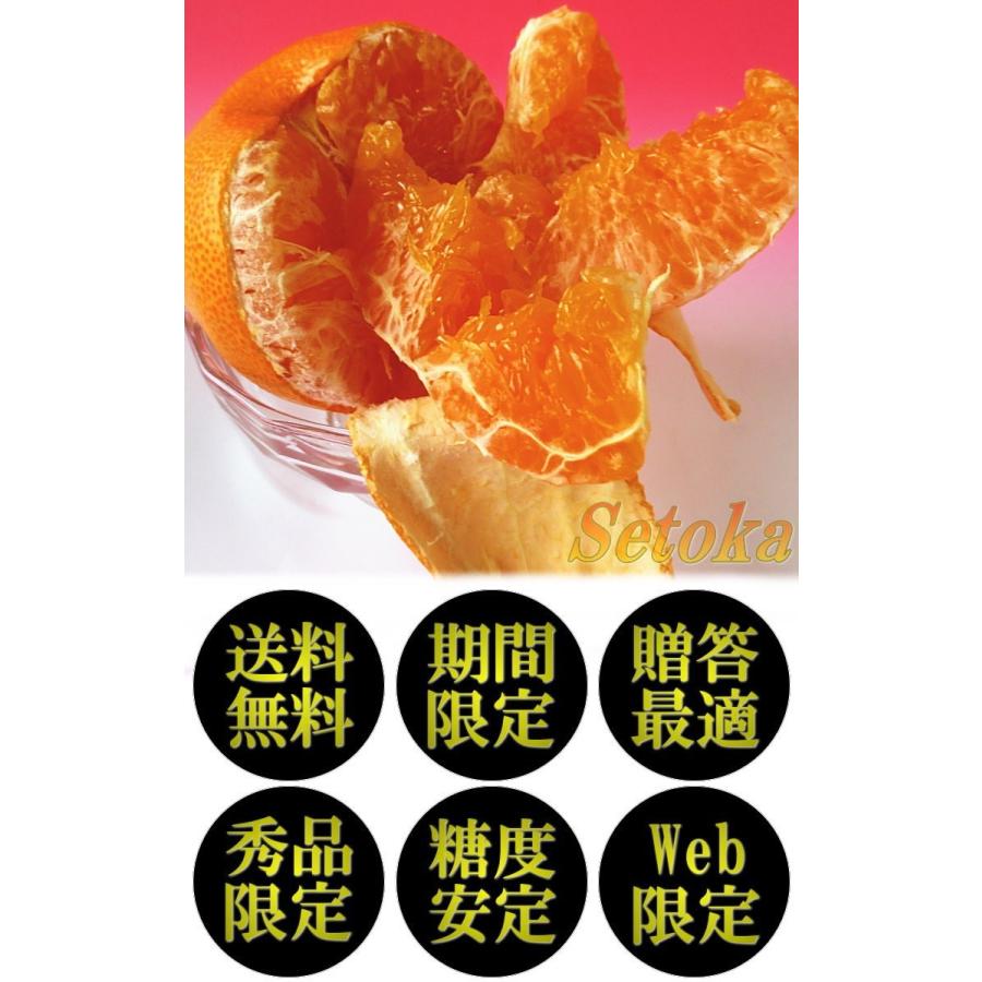 せとか 産地 せとか みかんずかん みかんの品種・レシピ・豆知識などを