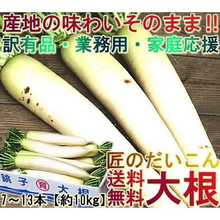 大根 だいこん 約10kg 7 13本 訳あり 千葉県産中心 産地厳選 鮮度抜群の国産野菜 家庭応援規格のお得な青首ダイコン 産地から玄関へ 通販 Yahoo ショッピング