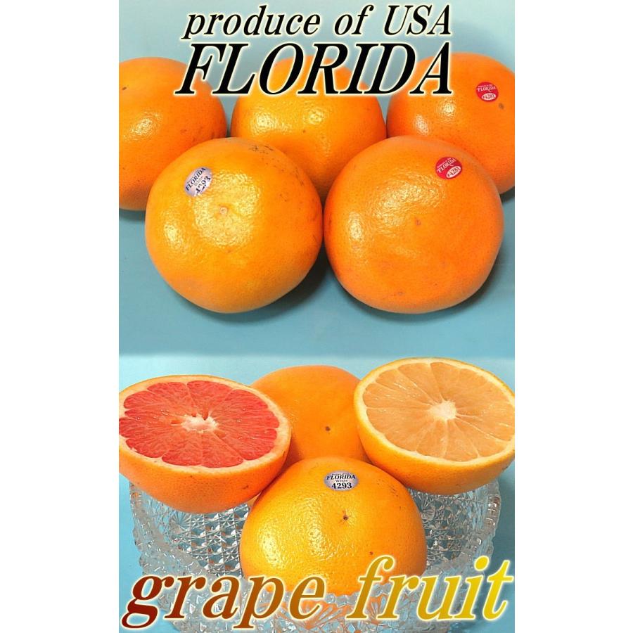 定番のお歳暮 冬ギフト ルビーグレープフルーツ約4 5キロ 果物
