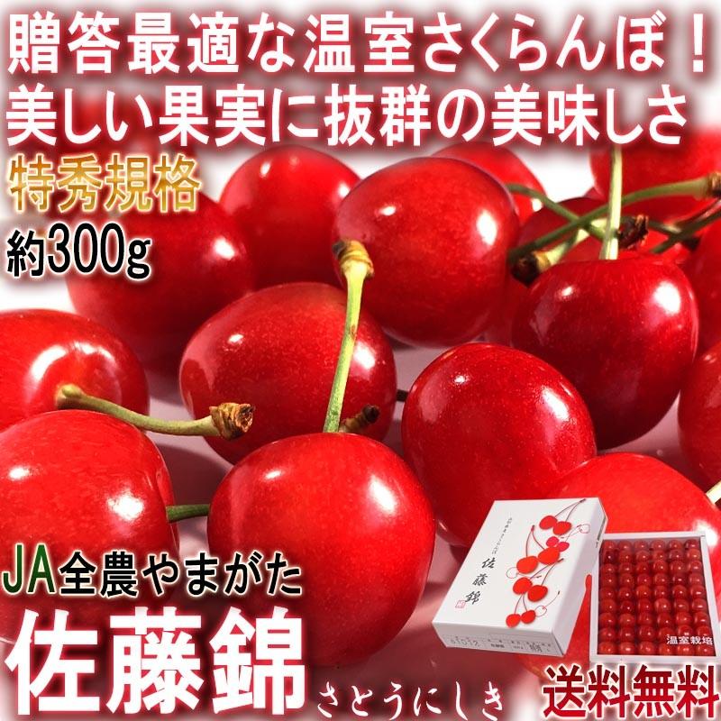 佐藤錦 温室さくらんぼ 約300g L〜2Lサイズ 贈答品 山形県産 特秀規格  加温栽培で丁寧に育てたギフトフルーツ！