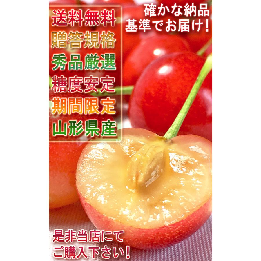 佐藤錦 さくらんぼ 約1kg L〜2Lサイズ 山形県産 贈答規格 丁寧な栽培で