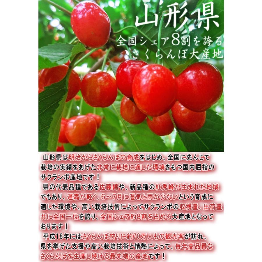 山形さくらんぼ 約1kg M〜Lサイズ 山形県産 訳あり品 佐藤錦・紅秀峰