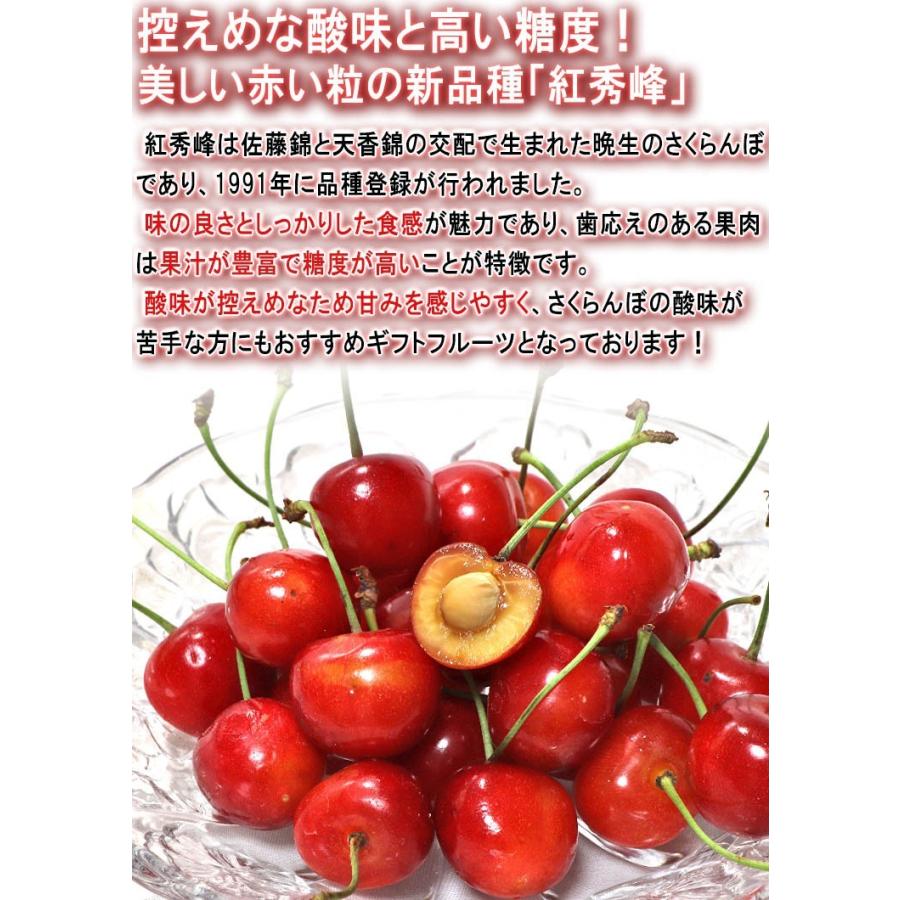 山形さくらんぼ 約1kg M〜Lサイズ 山形県産 訳あり品 佐藤錦・紅秀峰
