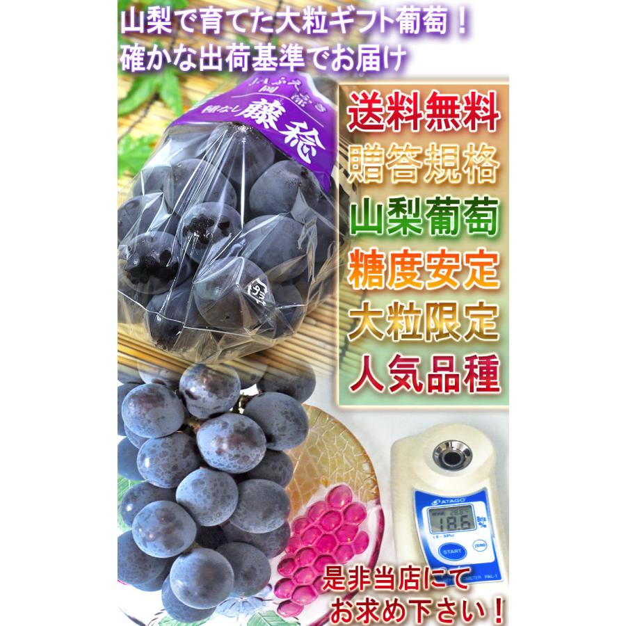 藤稔 ぶどう ふじみのり 約1.5kg 2〜3房 山梨県産 贈答規格 JA共撰品