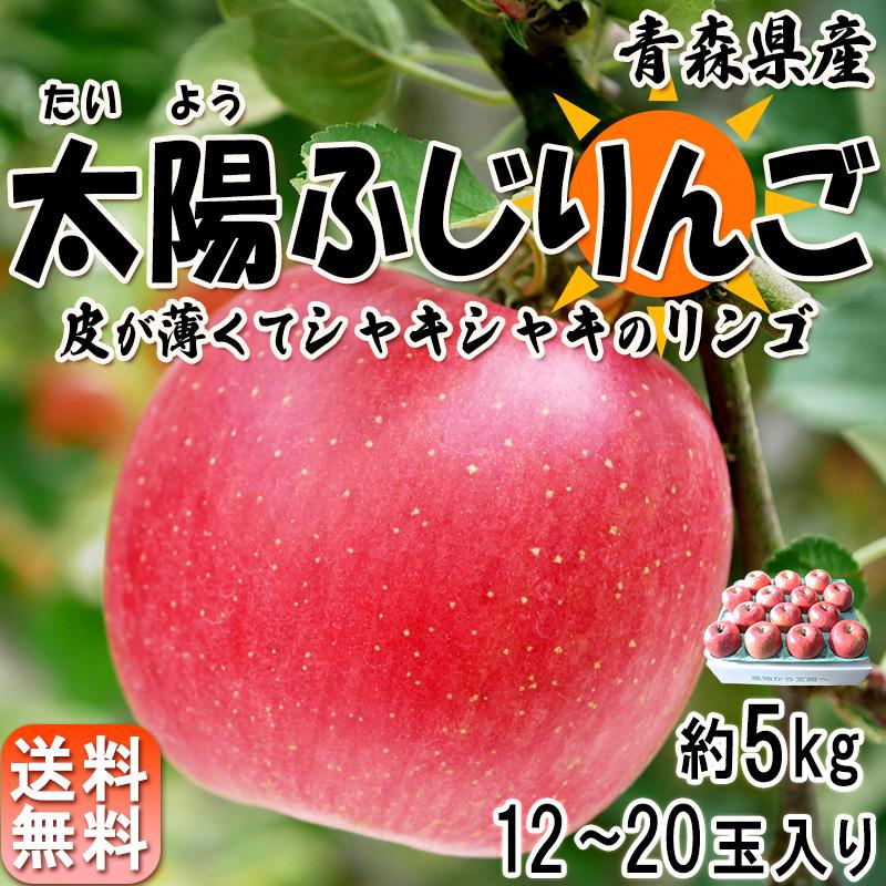 太陽ふじりんご 赤リンゴ 約5kg 12〜20玉 青森県産 みずみずしい