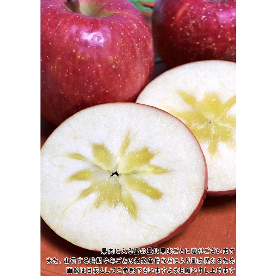 ままりん様専用☆岩手県産りんご・サンふじ・10k 売れ筋 楽天市場