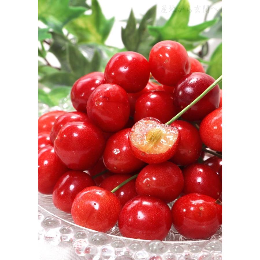 紅さやか さくらんぼ 約800g(200g×4) M〜Lサイズ 山形県産 贈答規格