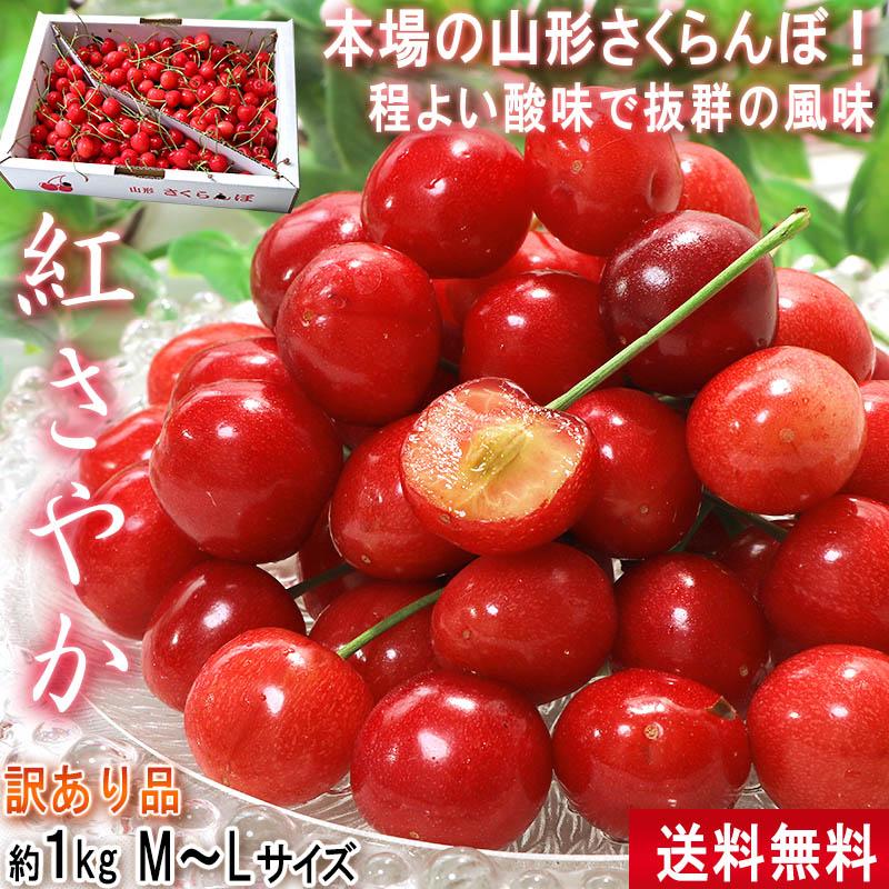 紅さやか さくらんぼ 約1kg M〜Lサイズ 山形県産 訳あり品 程よい酸味