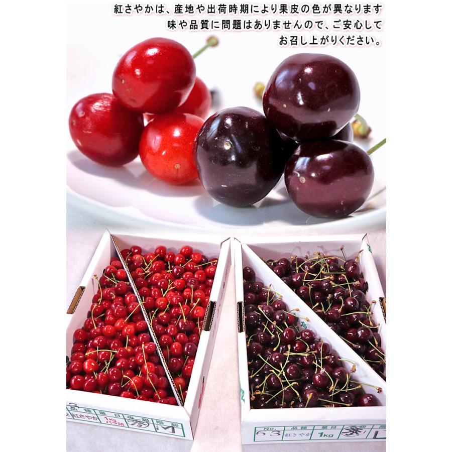 紅さやか さくらんぼ 約1kg M〜Lサイズ 山形県産 訳あり品 程よい酸味