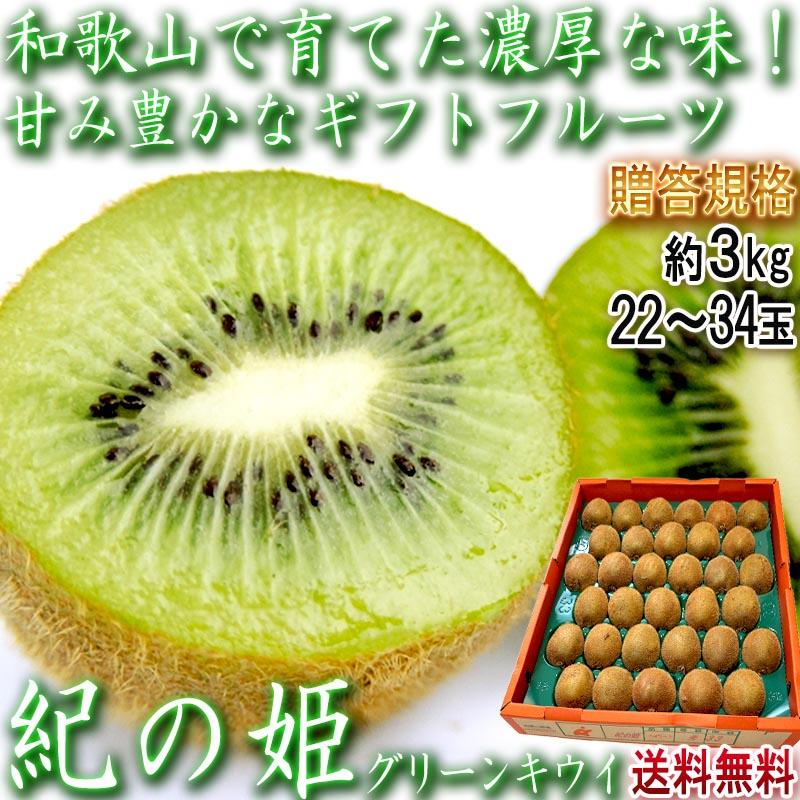 紀の姫 キウイフルーツ 約3kg 22〜33玉 和歌山県産 贈答規格 JA紀の里