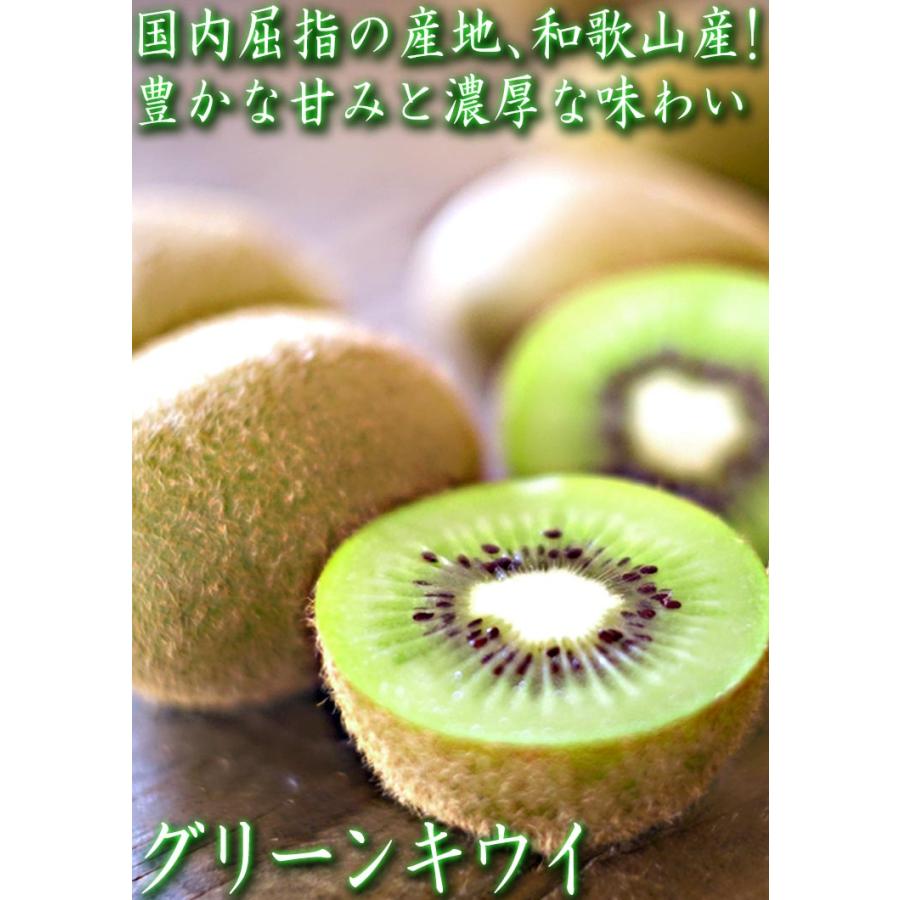 キウイフルーツ 約3kg 27〜33玉 和歌山県産 贈答規格 濃厚な甘酸っぱ