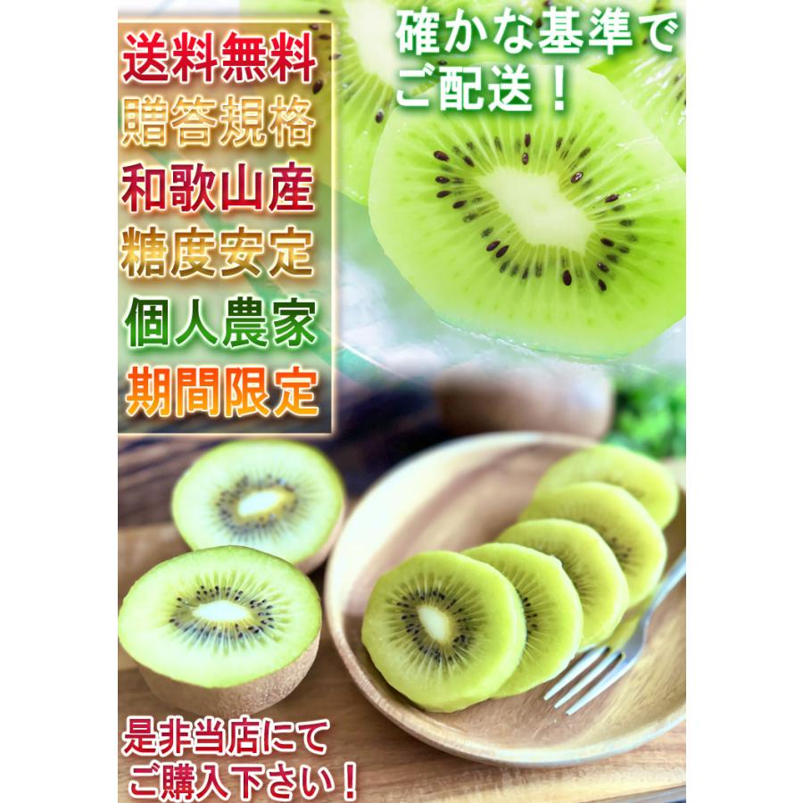リョク様　キウイフルーツ大玉３kg➕ キウイフルーツ 約3kg 27〜33玉 和歌山県産 贈答規格 濃厚な甘酸っぱ