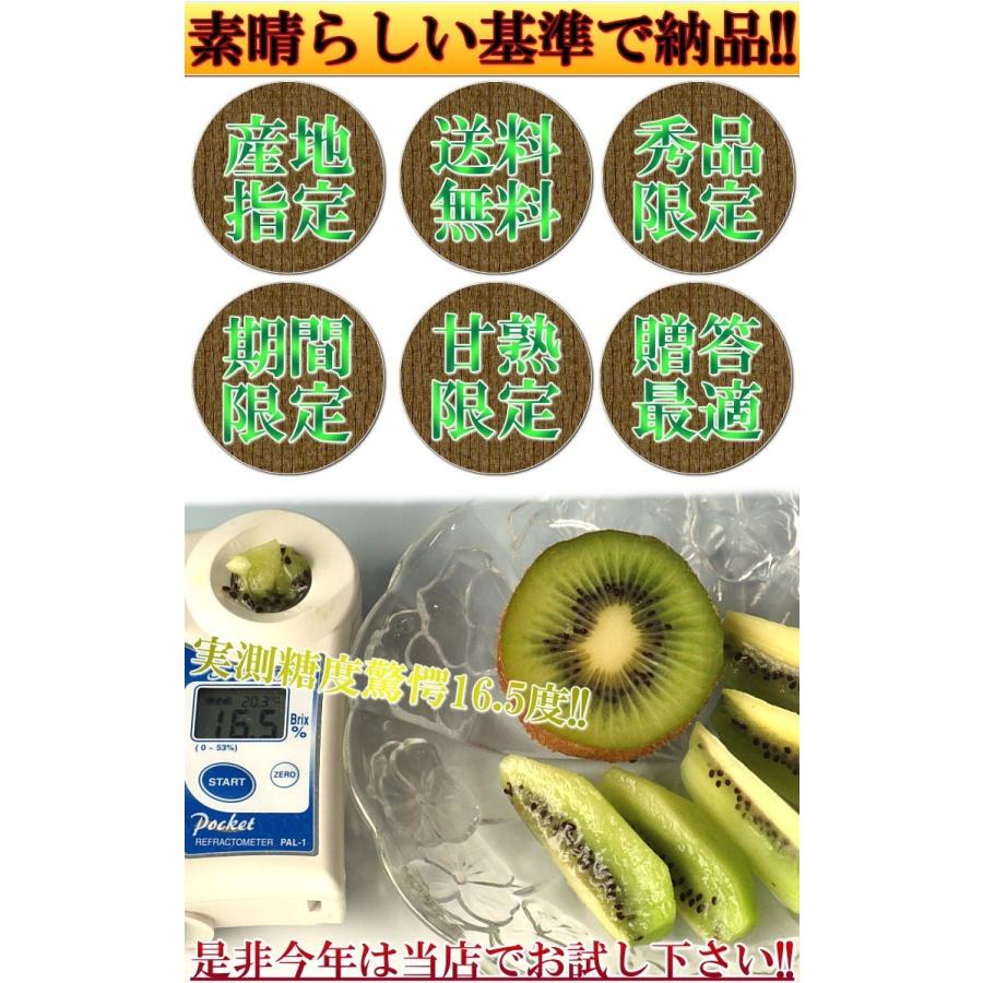 特大グリーンキウイ 約1.5〜2kg 8〜12玉 愛媛県産 贈答規格 JA共撰品 出荷量全国1位の愛媛キウイフルーツ！実測糖度16度の美味しいキウイ｜wamers｜05