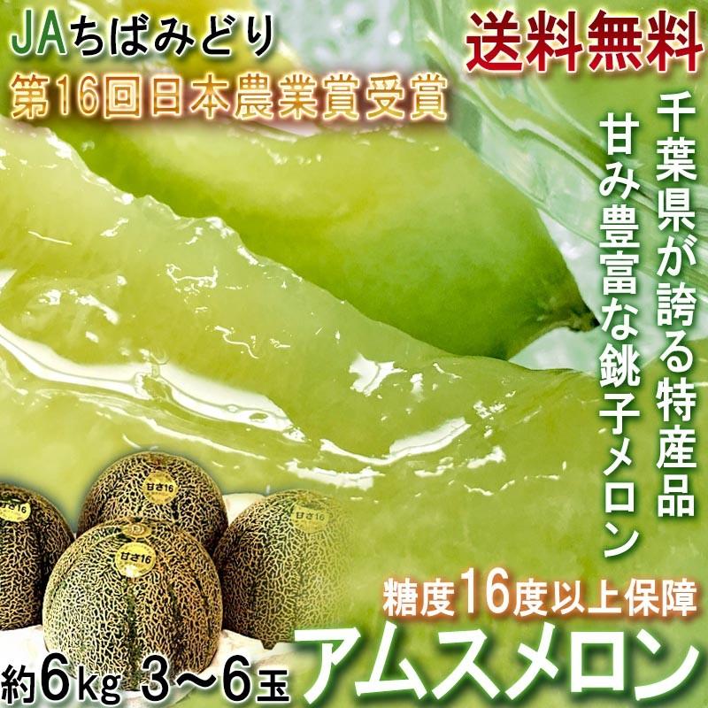 銚子アムスメロン 約6kg 2〜6玉入り 千葉県産 贈答規格 JAちばみどり 
