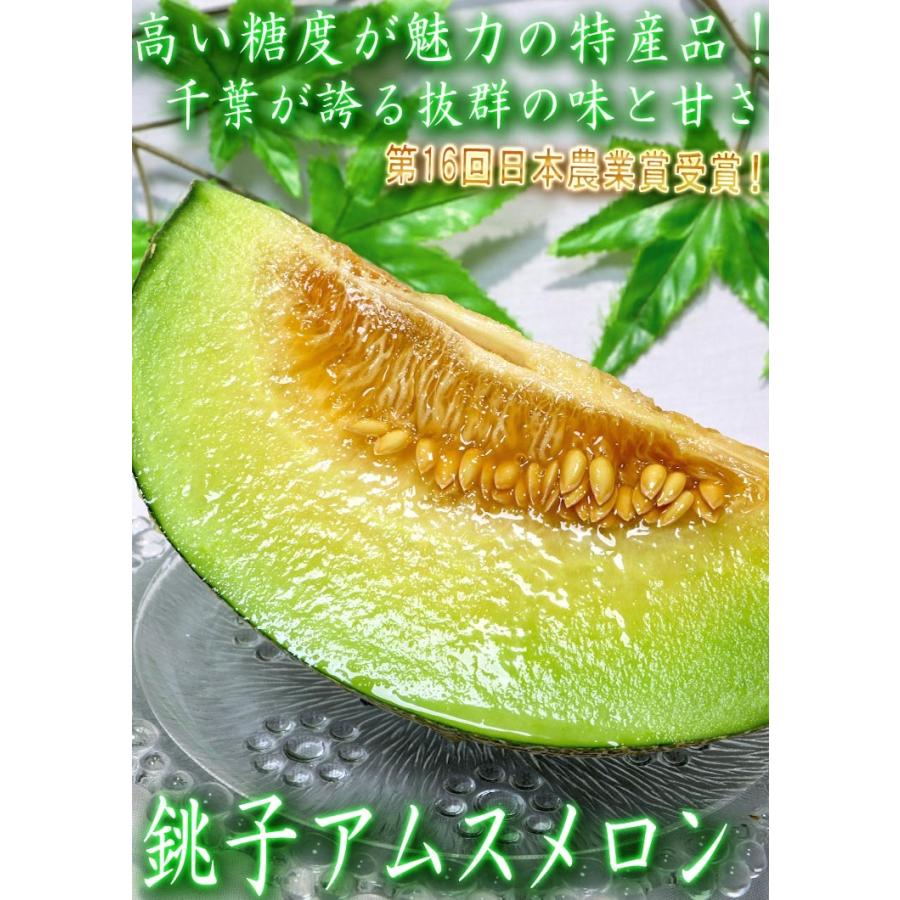 銚子アムスメロン 約5kg 2〜6玉入り 千葉県産 訳あり品 JAちばみどり