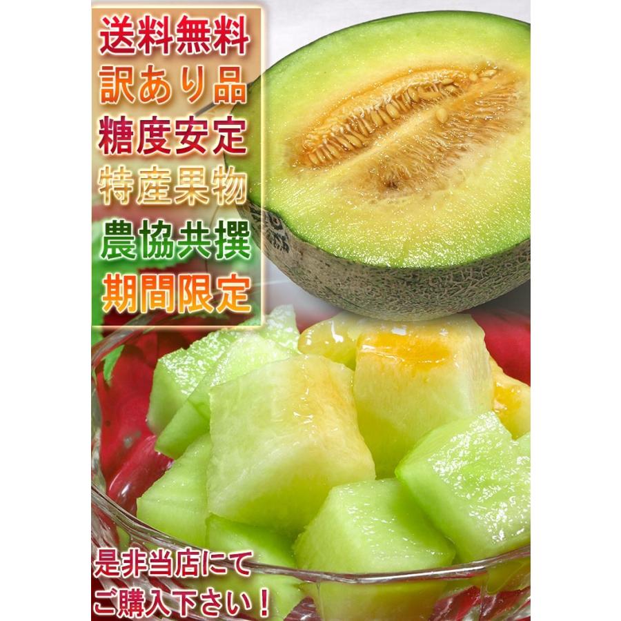 銚子アムスメロン 約5kg 2〜6玉入り 千葉県産 訳あり品 JAちばみどり