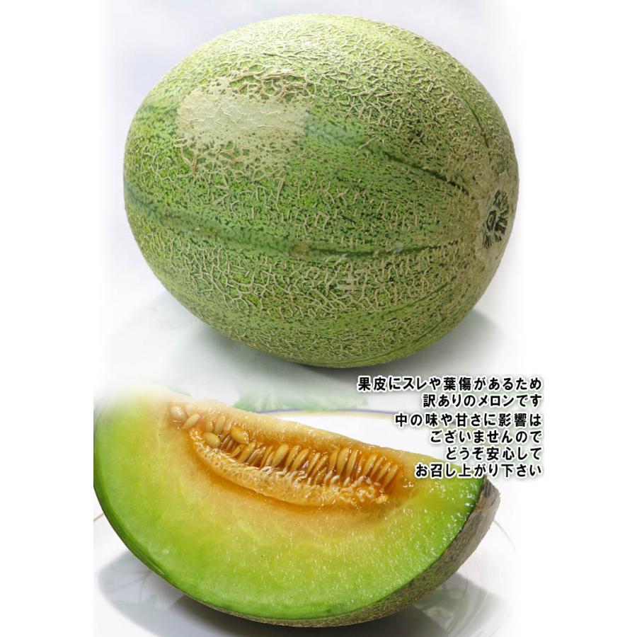 銚子アムスメロン 約5kg 2〜6玉入り 千葉県産 訳あり品 JAちばみどり