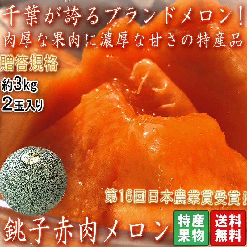 銚子メロン 赤肉厳選 約3kg 2玉入り 千葉県産 贈答規格 大玉限定