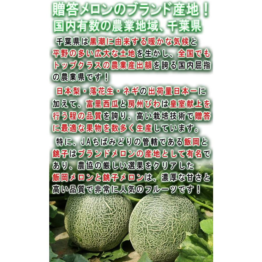 銚子メロン 赤肉厳選 約3kg 2玉入り 千葉県産 贈答規格 大玉限定