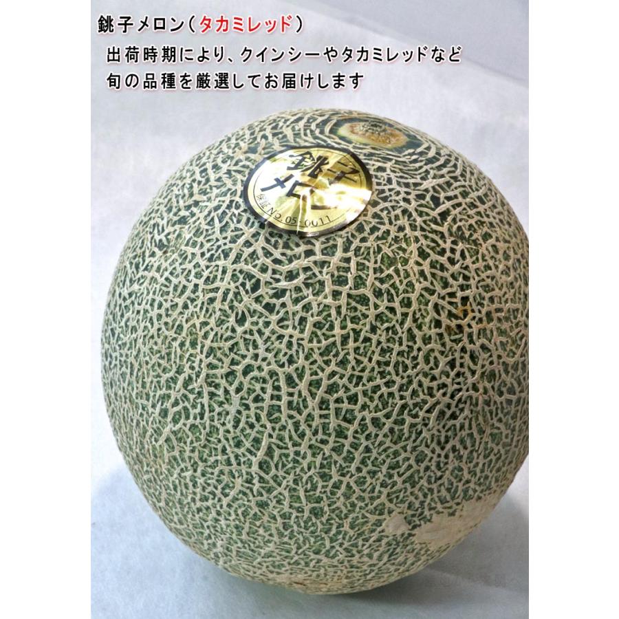 銚子メロン 赤肉厳選 約3kg 2玉入り 千葉県産 贈答規格 大玉限定