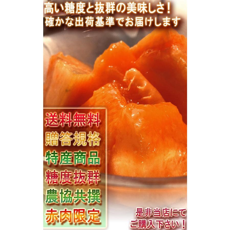 銚子メロン 赤肉厳選 約3kg 2玉入り 千葉県産 贈答規格 大玉限定