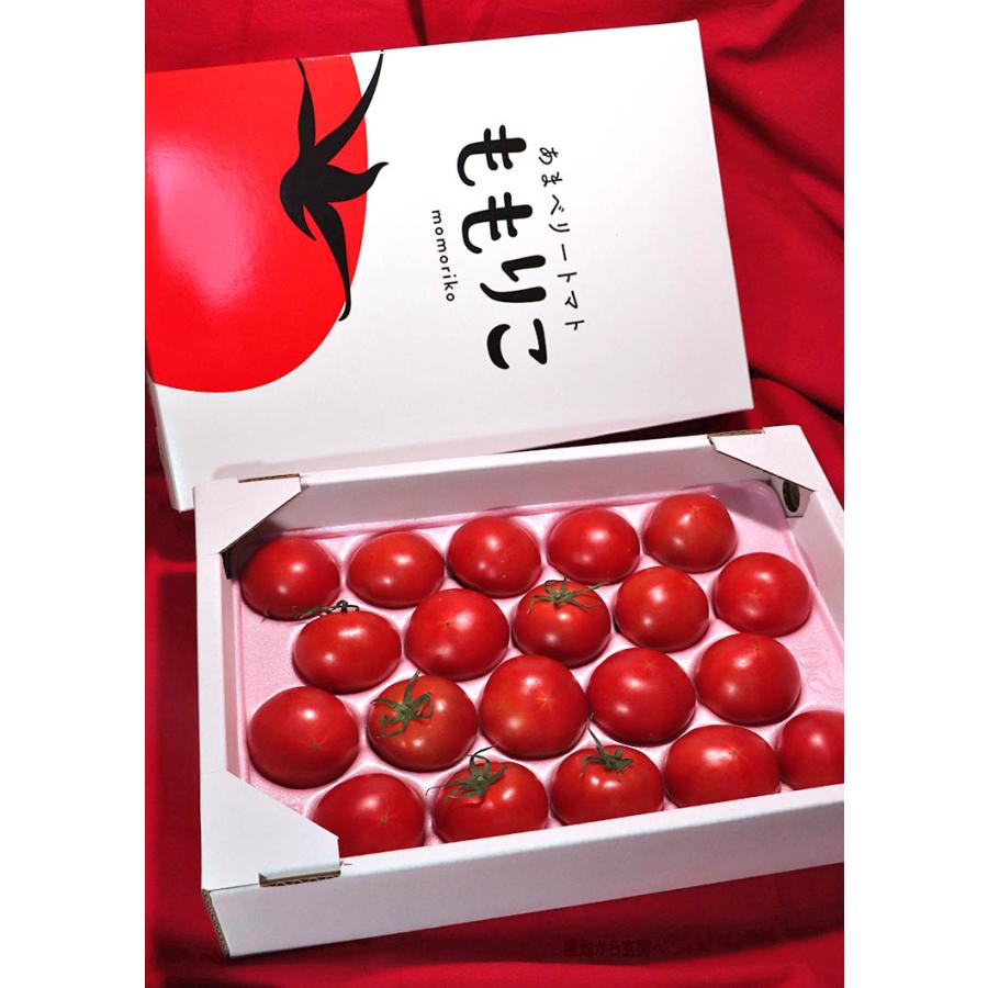 ももりこトマト S特選 約1kg 15〜24玉 徳島県産 樫山農園 糖度10度以上