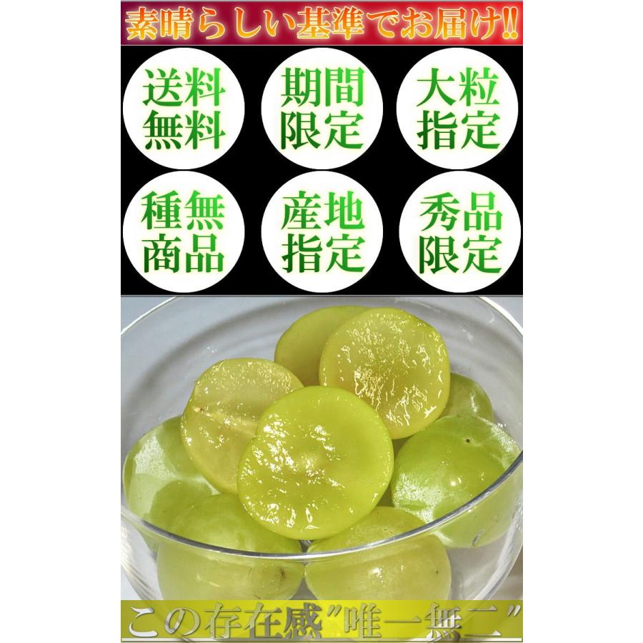 瀬戸ジャイアンツ 白ぶどう 約2kg 3〜5房入り 岡山県産 贈答規格 JA共