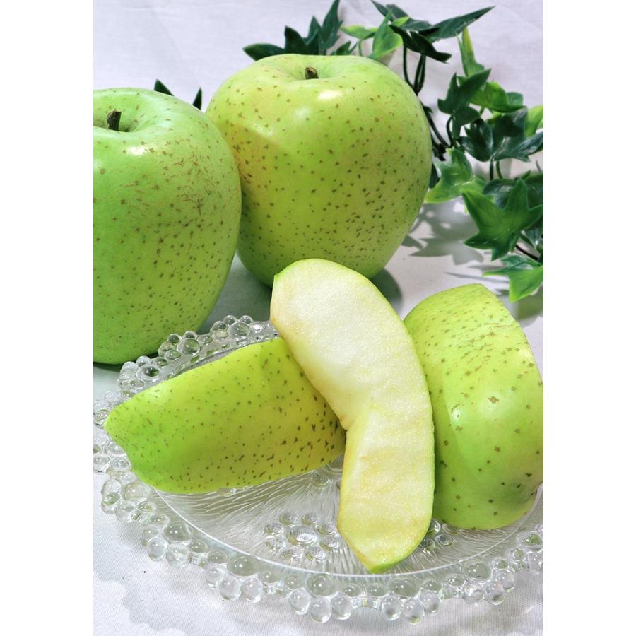 王林 おうりん 青りんご 約10kg 26〜38玉 訳あり規格 岩手県産 酸味