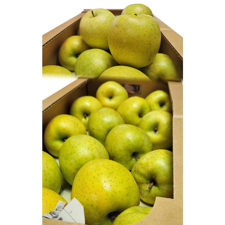 岩手県産 りんご 王林 家庭用 約10kg りんご 10kg 王林 ご家庭用 青森産 送料無料 食品 : 花と緑 国華園