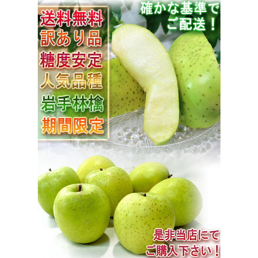 王林 おうりん 青りんご 約10kg 26〜38玉 訳あり規格 岩手県産 酸味