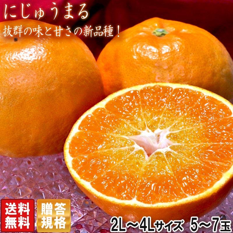 にじゅうまる 大玉限定 5〜7玉 2〜4Lサイズ 佐賀県産 贈答規格 甘平と