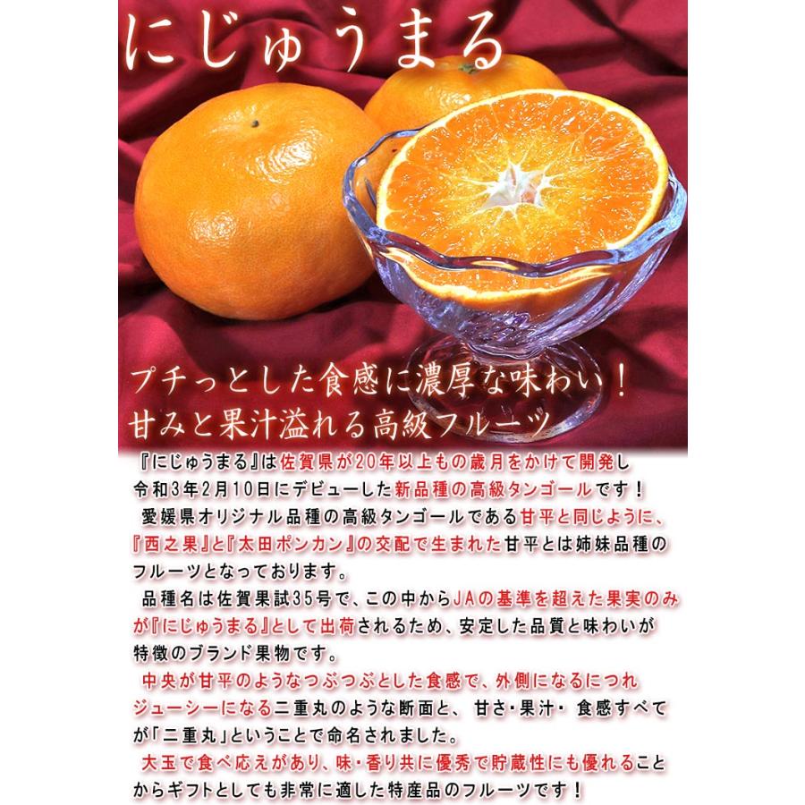 にじゅうまる 大玉限定 5〜7玉 2〜4Lサイズ 佐賀県産 贈答規格 甘平と