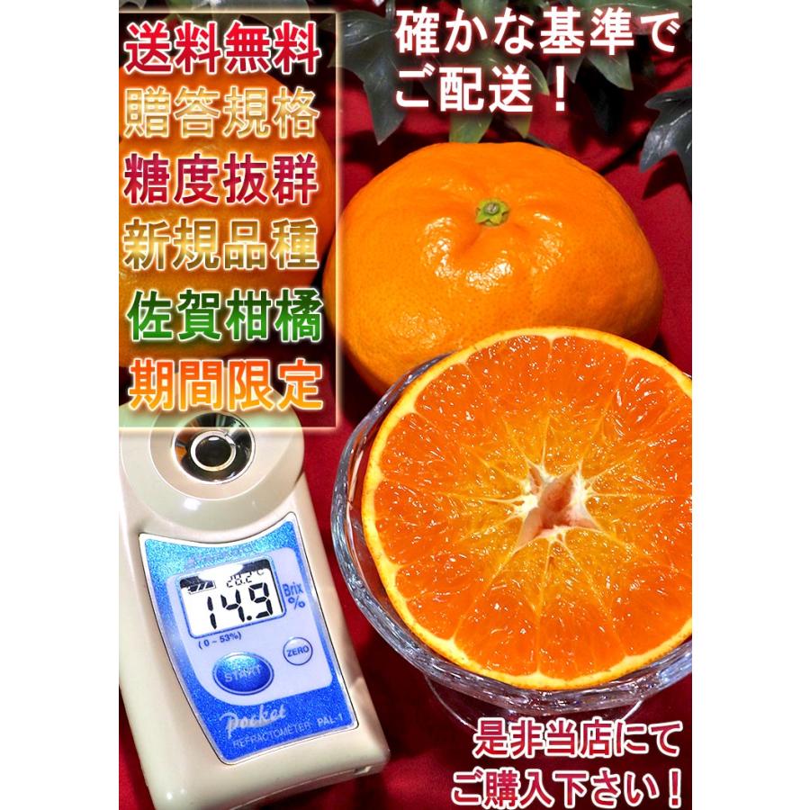 にじゅうまる 大玉限定 5〜7玉 2〜4Lサイズ 佐賀県産 贈答規格 甘平と