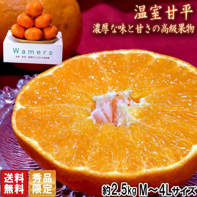 甘平 かんぺい 温室栽培 約2.5kg M〜4Lサイズ 愛媛県産 贈答規格 JA共