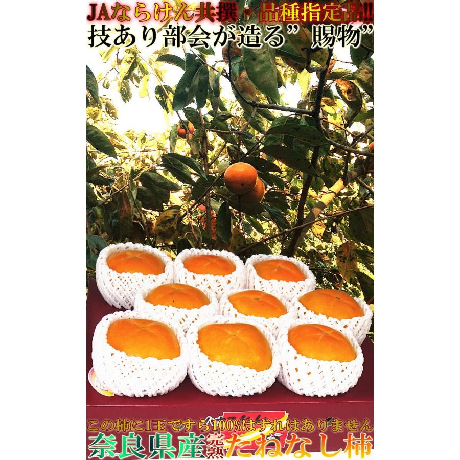奈良の柿 ハウス栽培 約2kg 9〜15玉 奈良県産 贈答規格 JAならけん共撰品 お中元やギフトに人気の種無し柿！