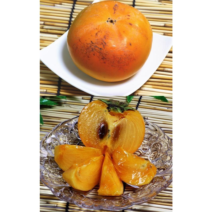 太秋柿 たいしゅうかき 約3.5kg 9〜16玉入り 茨城県産中心 贈答規格