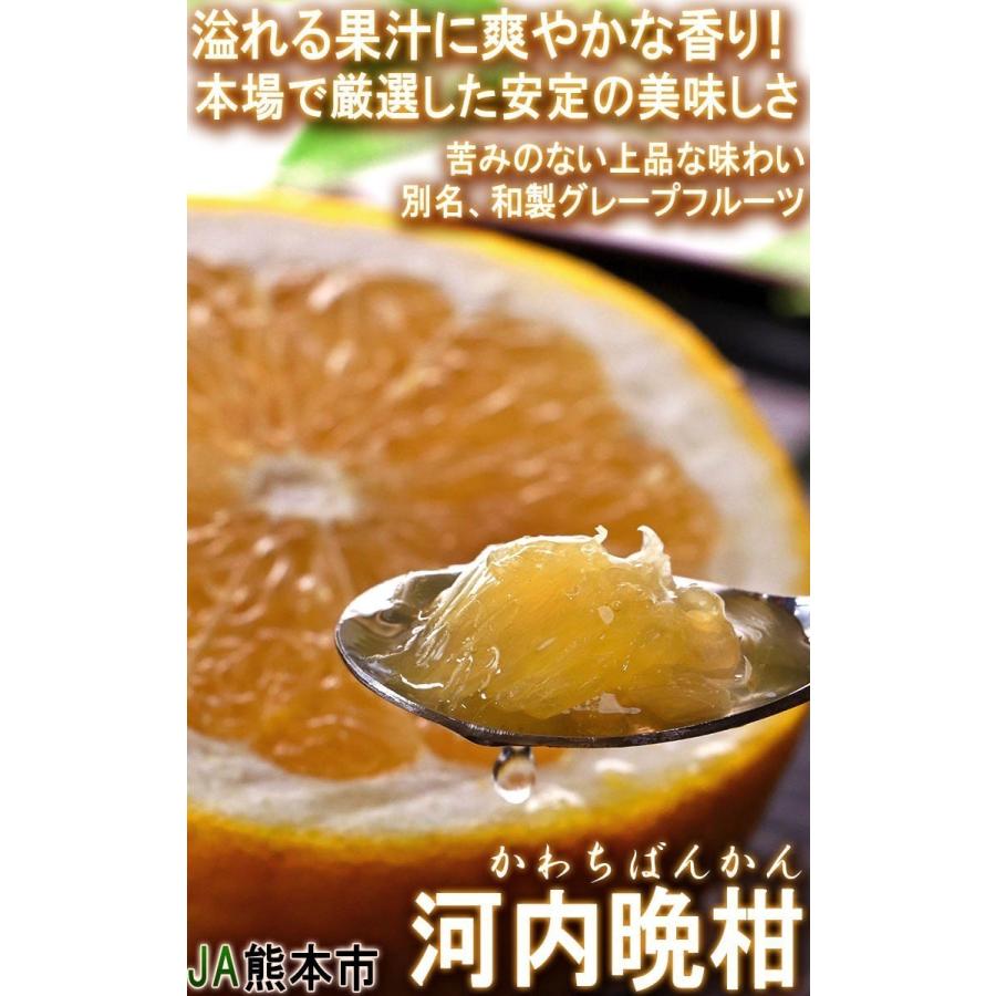 河内晩柑 かわちばんかん 約5kg 熊本県産 訳あり品 豊富な果汁と上品な