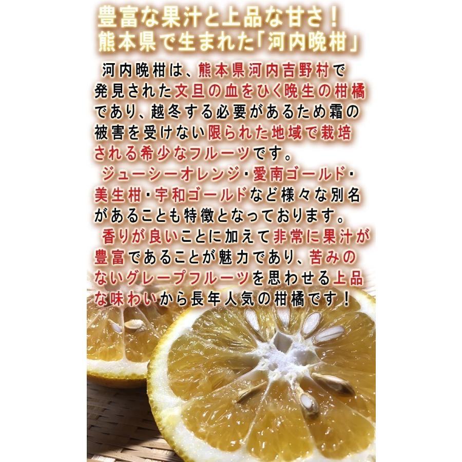 河内晩柑 かわちばんかん 約5kg 熊本県産 訳あり品 豊富な果汁と上品な