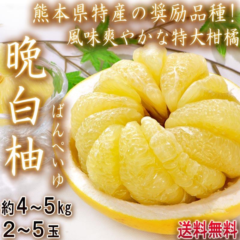晩白柚 ばんぺいゆ 約4〜5kg 2〜5玉 熊本県産 秀品 ハウス栽培 柑橘