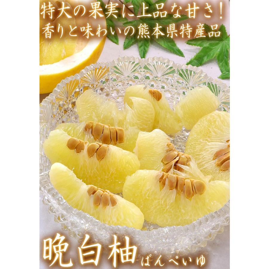 晩白柚 ばんぺいゆ 約4〜5kg 2〜5玉 熊本県産 秀品 ハウス栽培 柑橘