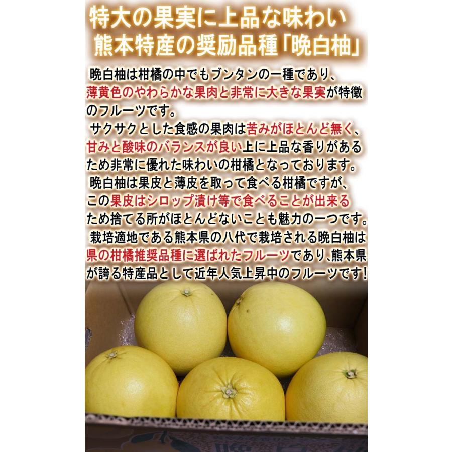 晩白柚 ばんぺいゆ 約4〜5kg 2〜5玉 熊本県産 秀品 ハウス栽培 柑橘